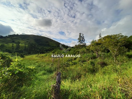 Fazenda em Simão Pereira / MG