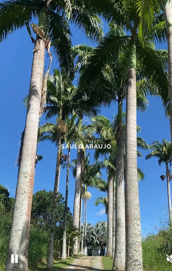 Fazenda em Cantagalo / RJ
