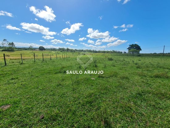 Fazenda em Araruama / RJ