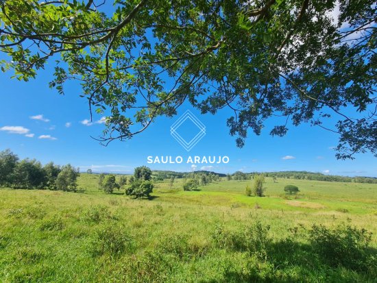Fazenda em Araruama / RJ