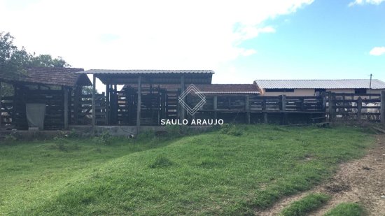 Fazenda em Araruama / RJ