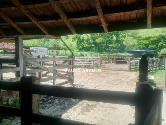Fazenda em Rio Das Flores / RJ