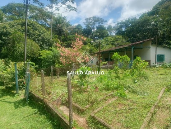 Fazenda em Rio Das Flores / RJ