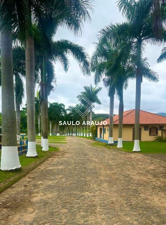 Fazenda em São João Nepomuceno / MG