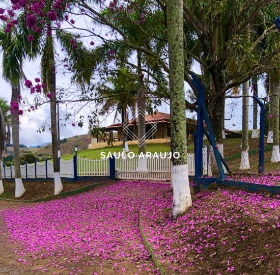 Fazenda em São João Nepomuceno / MG