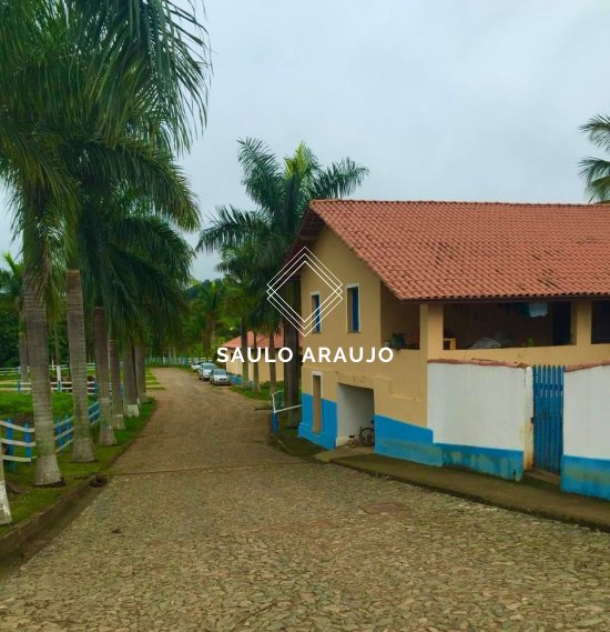 Fazenda em São João Nepomuceno / MG