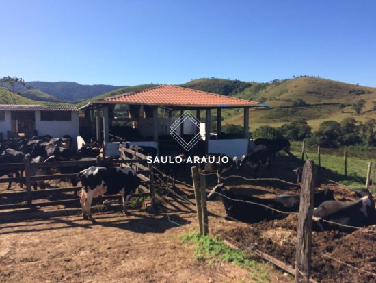 Fazenda em Rio Das Flores / RJ