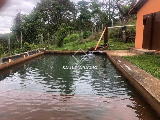 Fazenda em Rio Das Flores / RJ