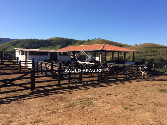 Fazenda em Rio Das Flores / RJ