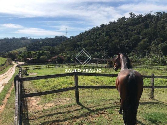 Haras em Vassouras / RJ